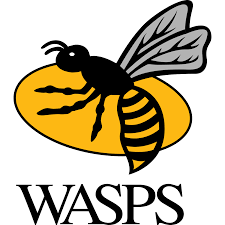 Wasps Netball