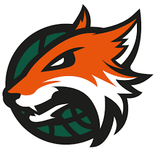 Plymouth Raiders
